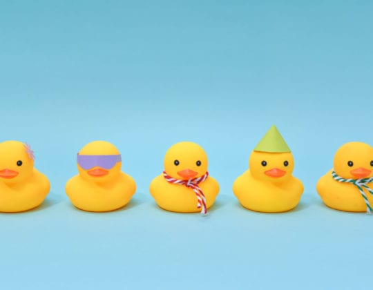 row of rubber ducks to represent rubber duck debugging